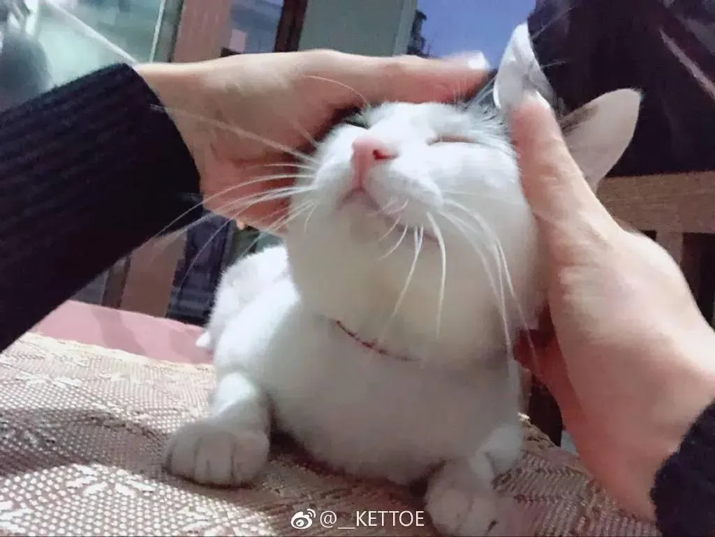 Kettoe – NO.01 微博配图[9] [87P]插图7